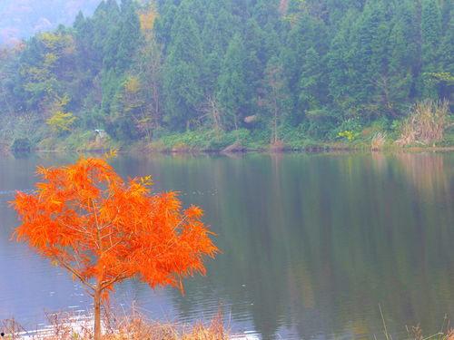 互为倒影的星,探寻宇宙中的镜像奥秘